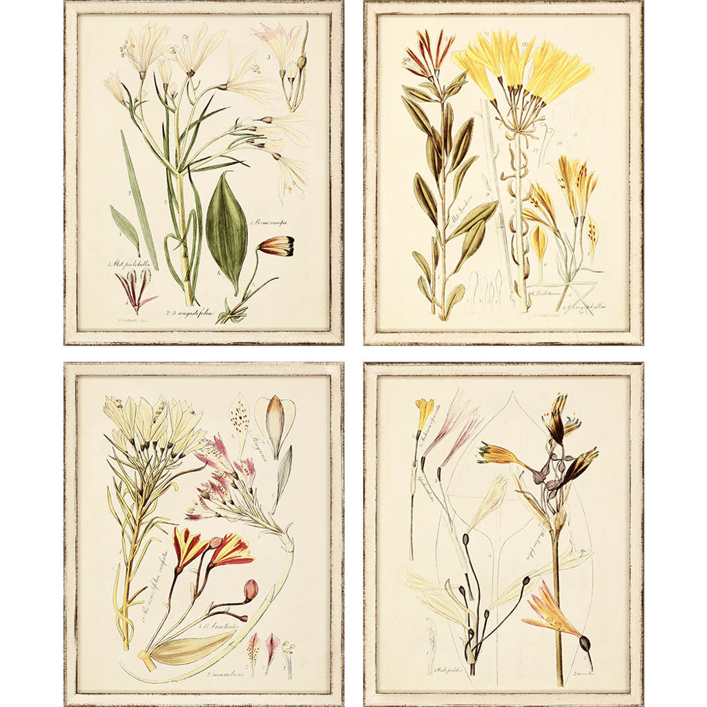 Graceful Botanicals, Set Of 4 (22"H x 18"W)