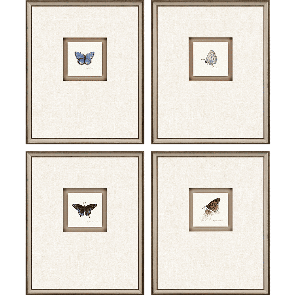 Butterfly Study I, Set Of 4