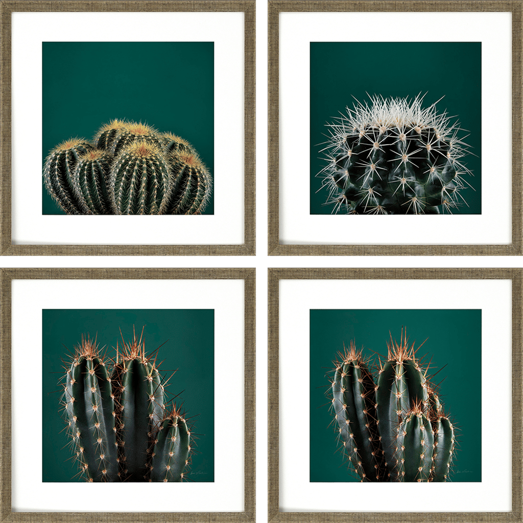 Preview image for Cacti, Set Of 4