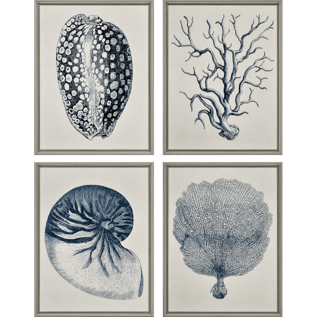 Preview image for Coastal, Set Of 4