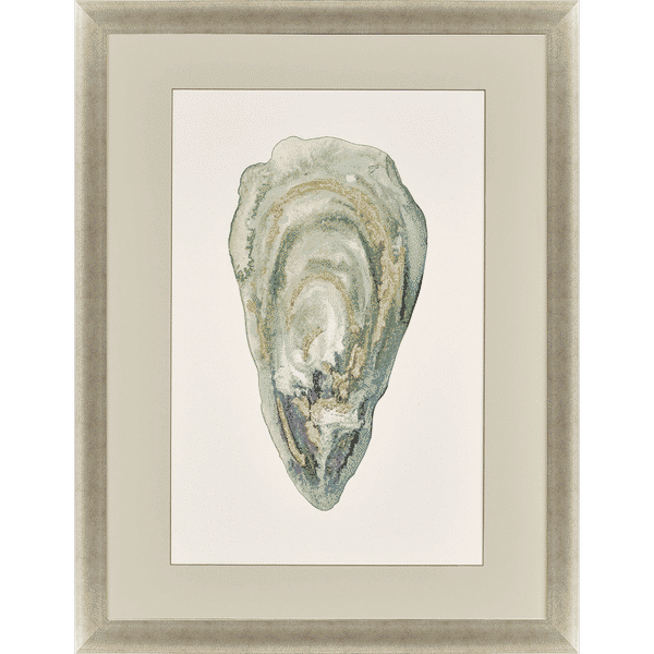 Crassostrea Virginica Iii
