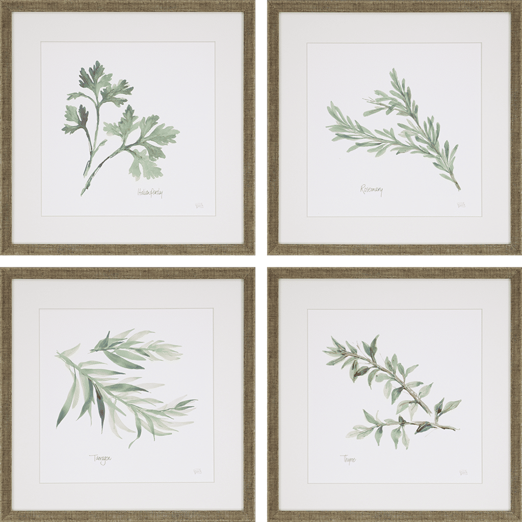 Preview image for Herbs, Set Of 4, Paschke