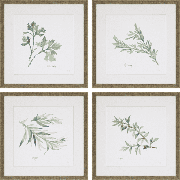 Herbs, Set Of 4, Paschke