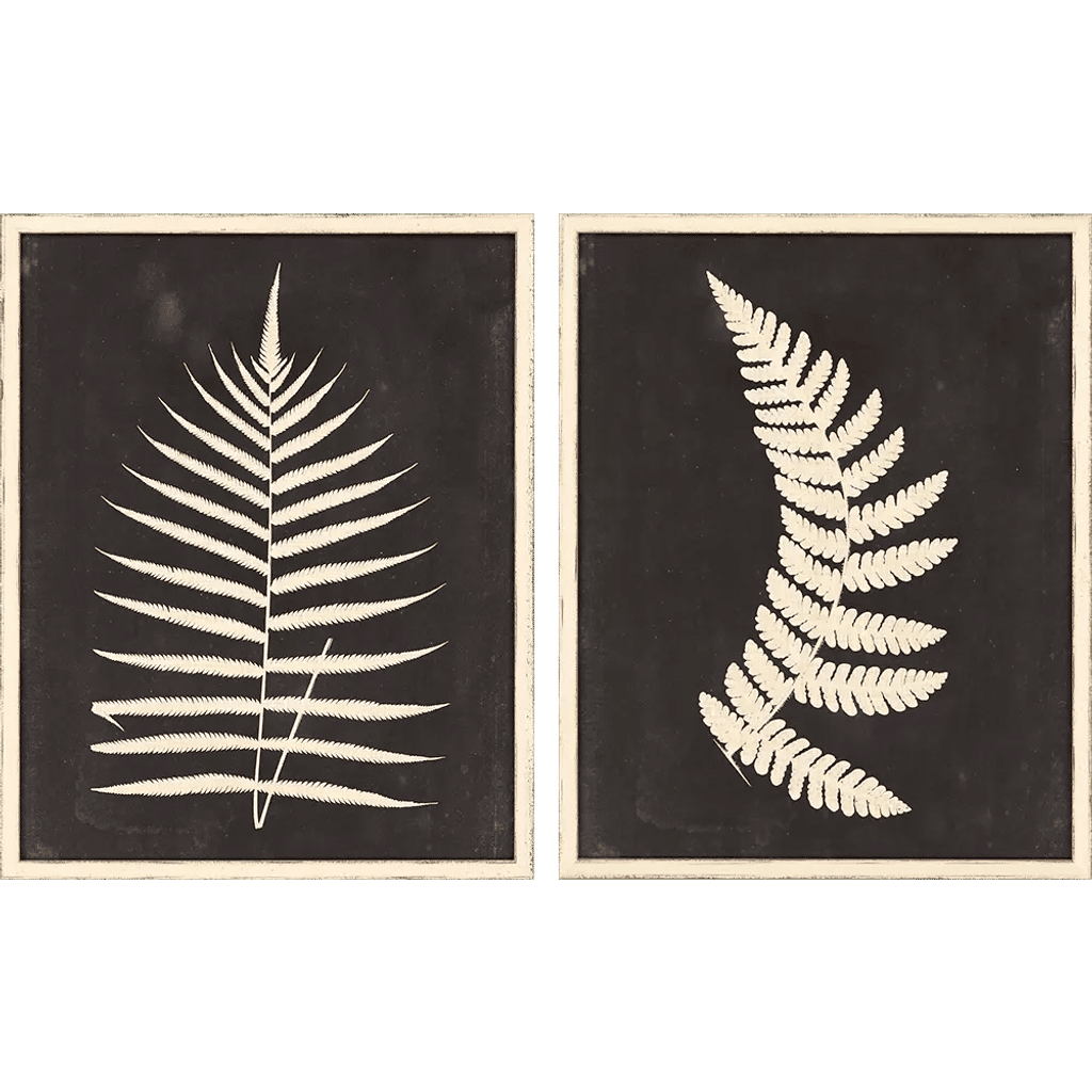 Fern Botanicals, Set Of 2 (30"H x 24"W)