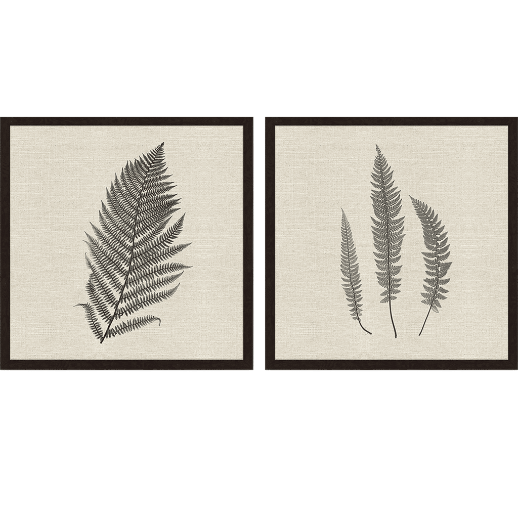 Modern Ferns Ii, Set Of 2