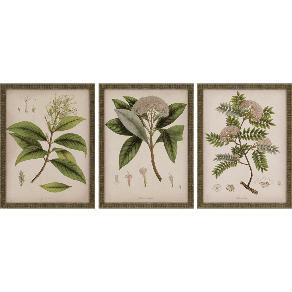 Verdant Foliage, Set Of 3 (17"H x 13"W)