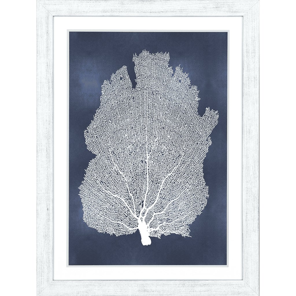 Preview image for Sea Fan On Blue I