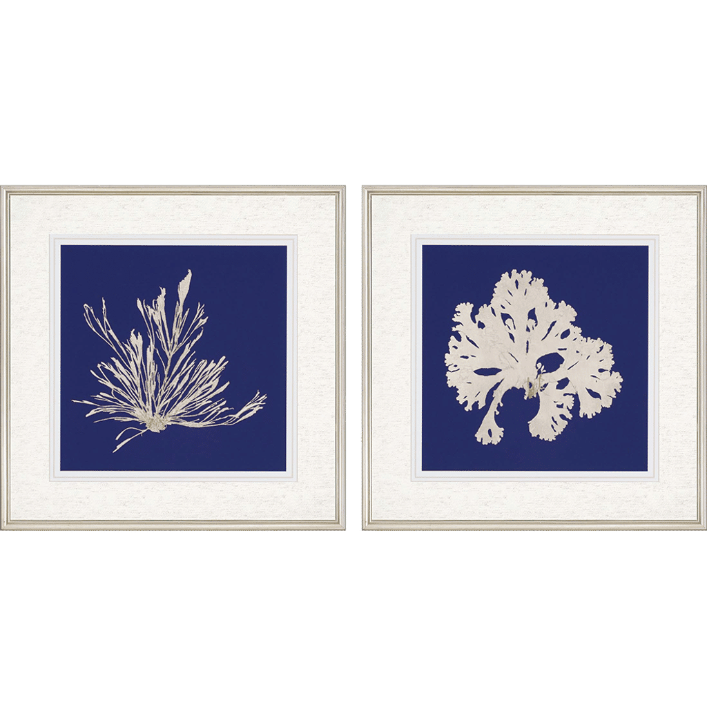 Navy Blue & White Seaweed, Set Of 2 (27"H x 27"W )