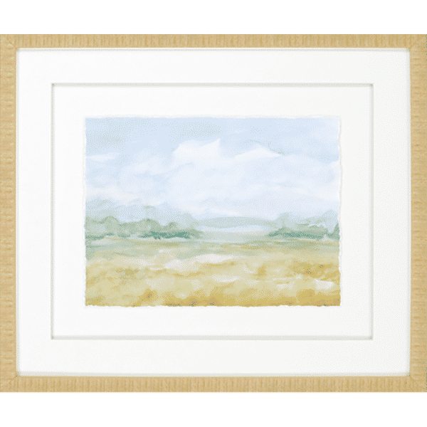 Platters Field Watercolor Art Ii *23"H x 27"W x 2"D