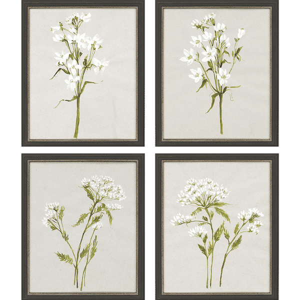White Field Flowers, Set Of 4