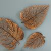Image 7 of 8