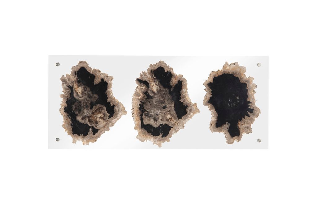 Preview image for Floating Petrified Triple Slice Wall Art