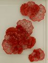 Image 10 of 11