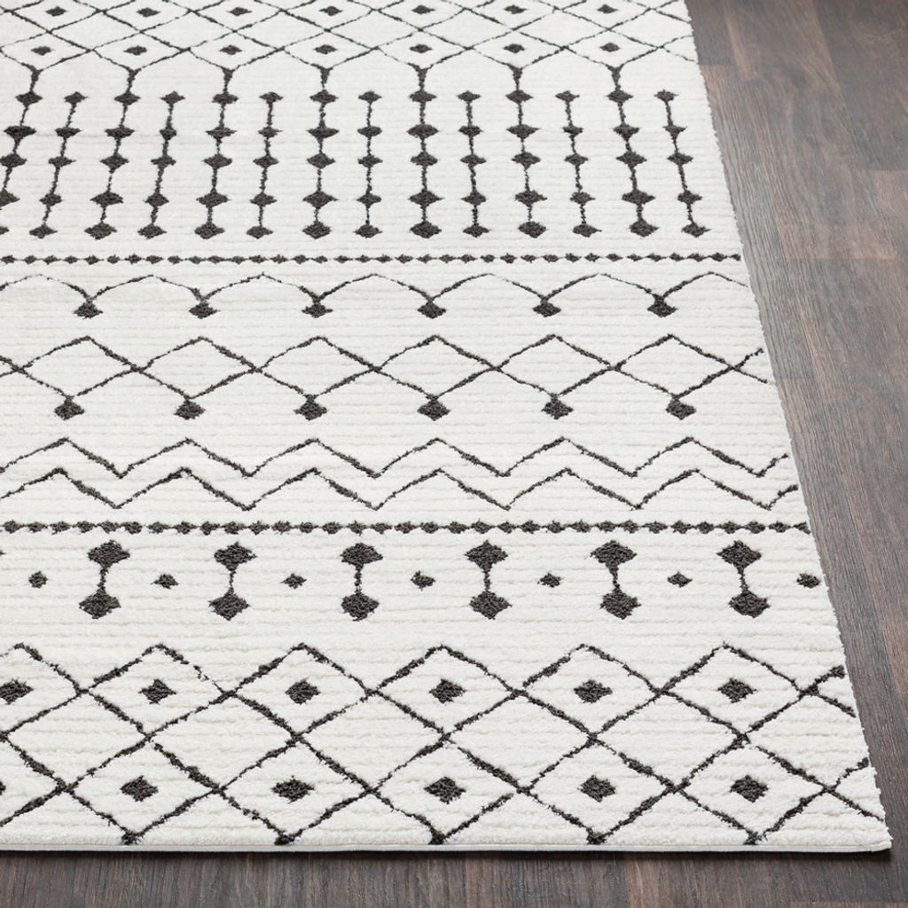 Living Room Rug, 8'10" X 12'
