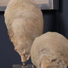 Oyster Shell Sculptures, Set of 2