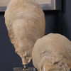 Image 5 of 6