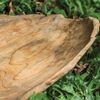 Image 3 of 3