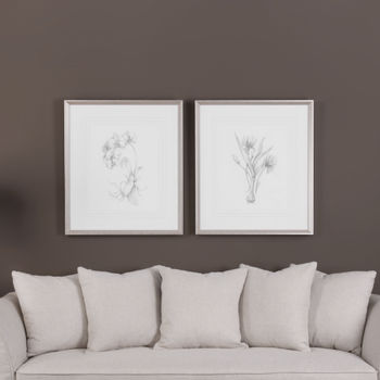 Framed Botanical Sketches, Set of 2