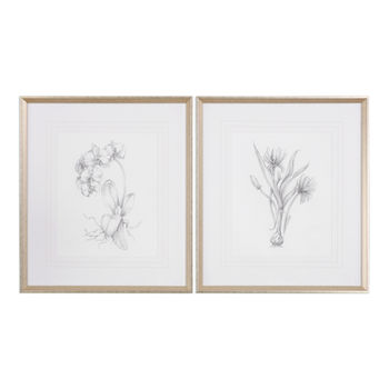 Framed Botanical Sketches, Set of 2