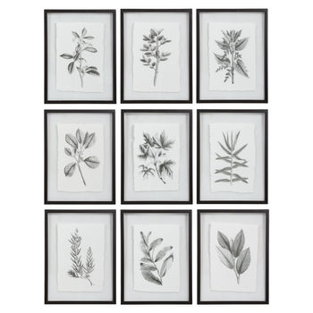 Floral Framed Prints, S/9