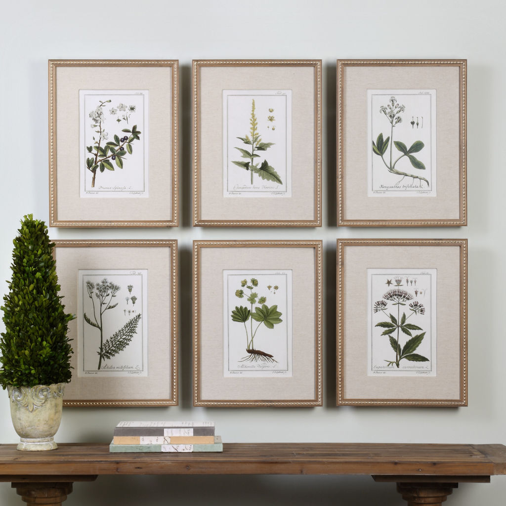 loral Botanical Study Prints Set of 6