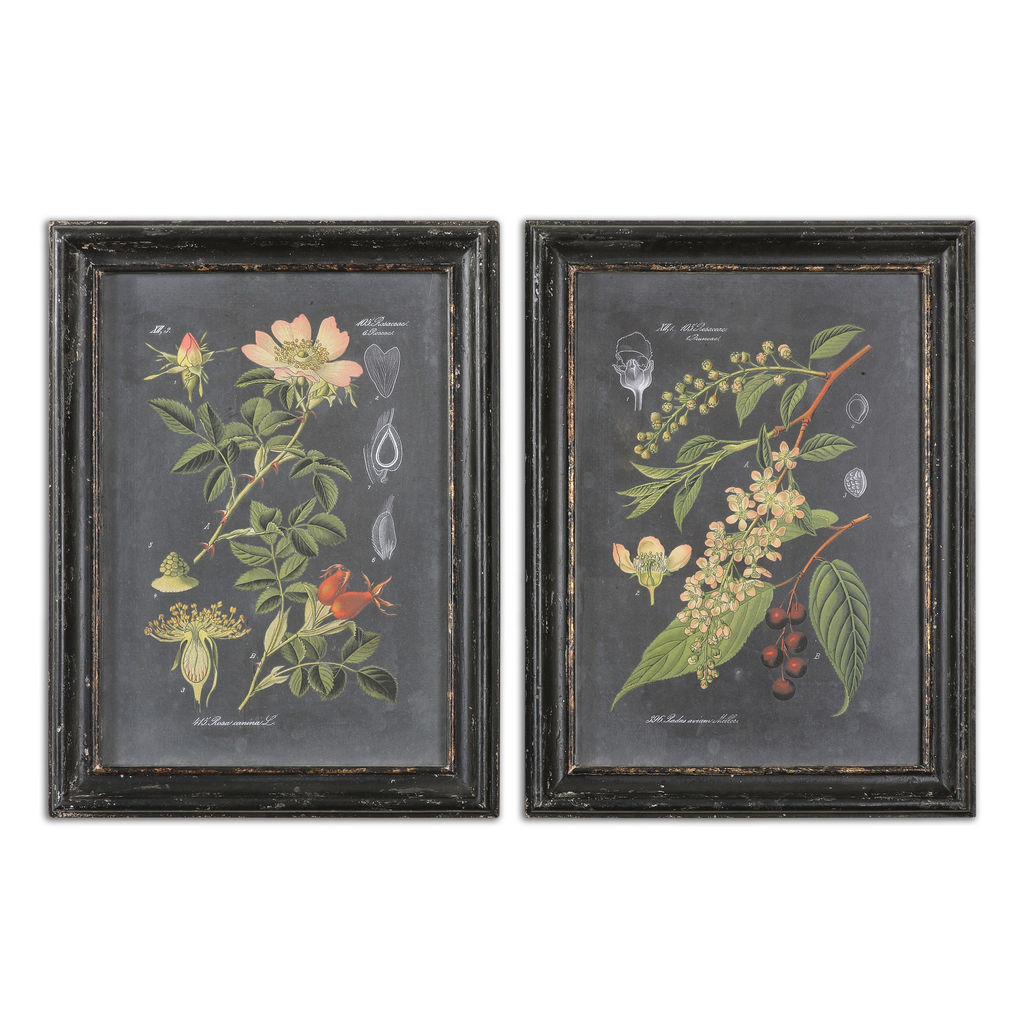 Preview image for Botanical Wall Art