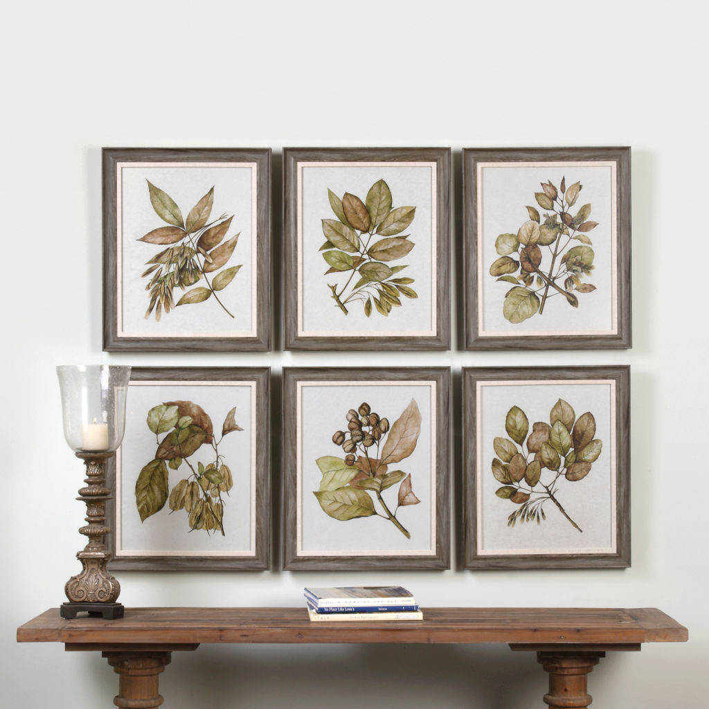 Seedlings Framed Prints S/6