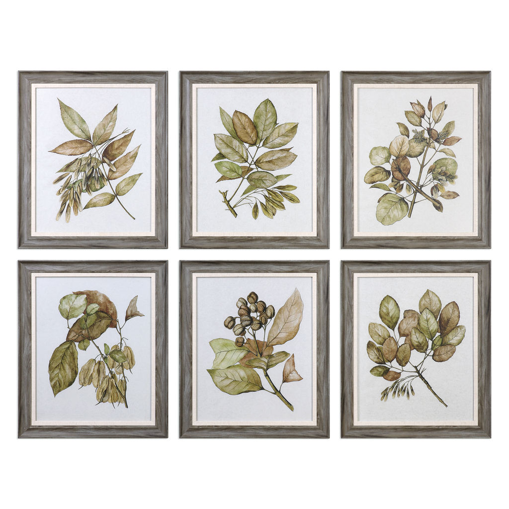 Preview image for Seedlings Framed Prints S/6
