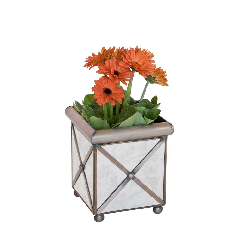 Preview image for Amt10, Sm Xhatch Ant Mir Planter