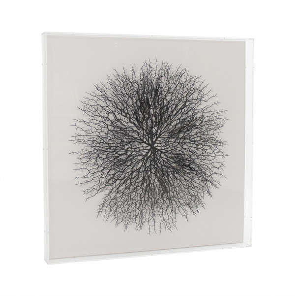 Abstract Branches In Acrylic Wall Art