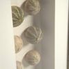 Image 2 of 4
