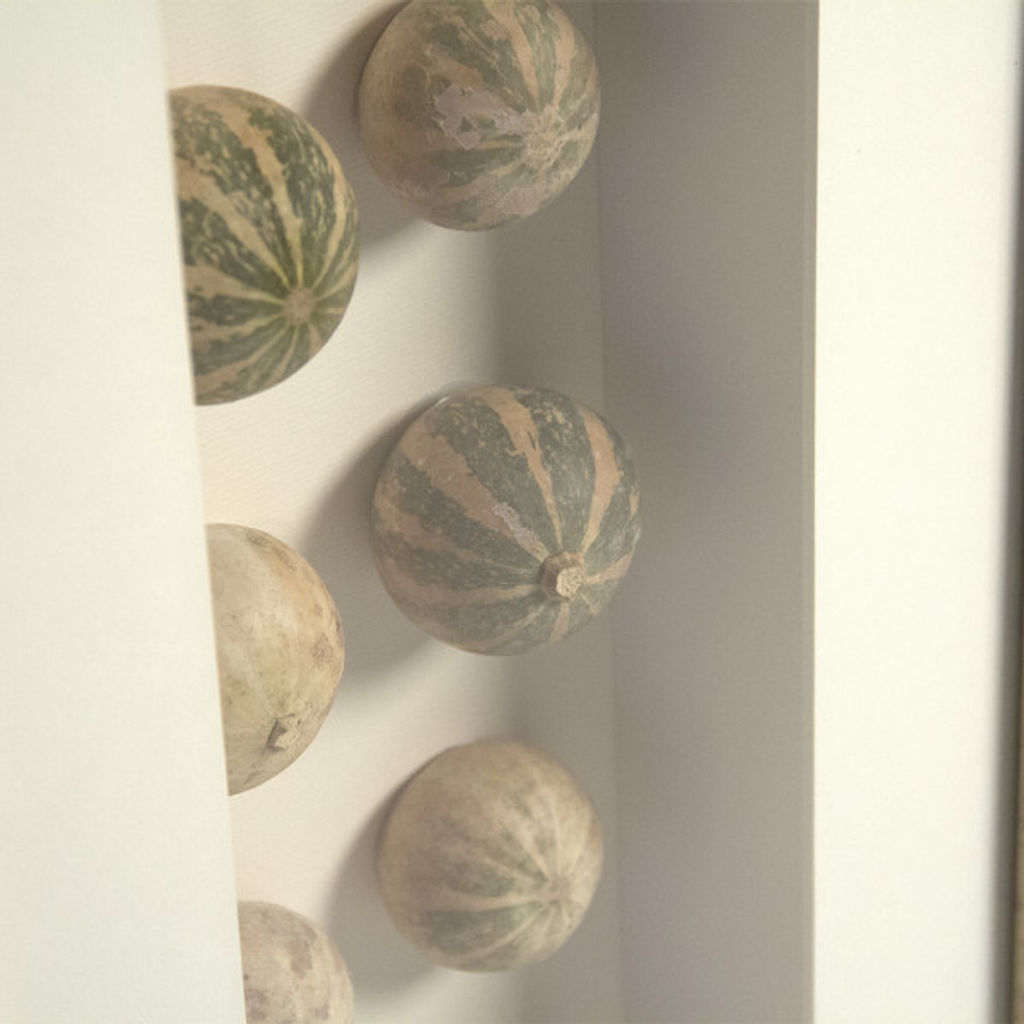 Abstract Gourd Shell Art