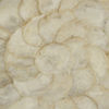 Image 4 of 5