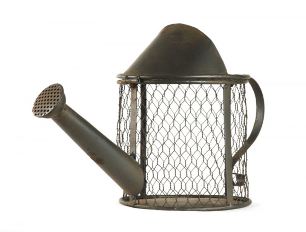 Preview image for Rustic Metal Watering Can
