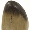 Image 2 of 2
