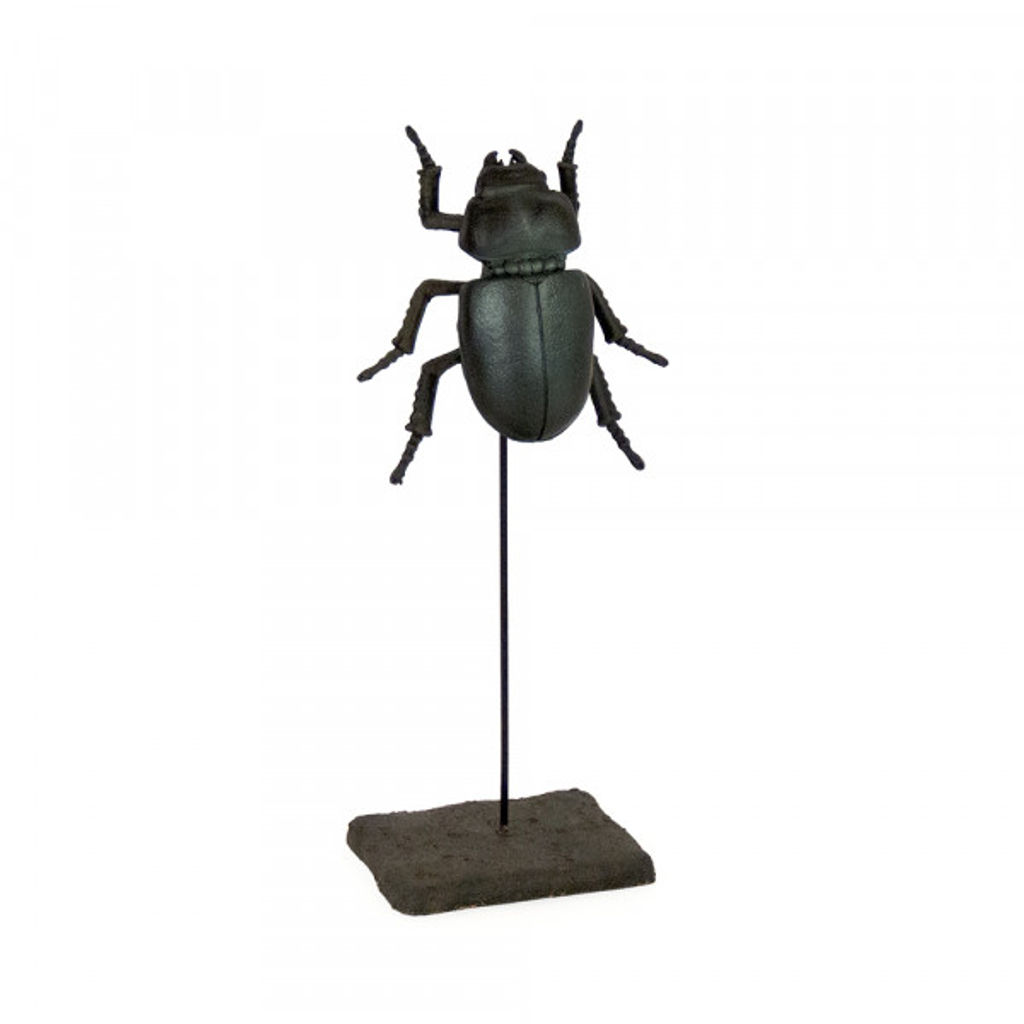 Stag Beetle On Stand