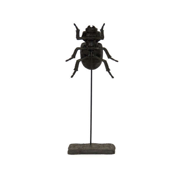 Stag Beetle On Stand