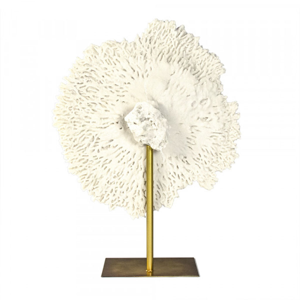 White Coral On Gold Base