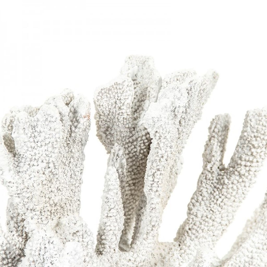 White Art Piece (16.50"W)